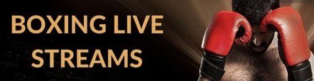 Boxing live reddit tweet media