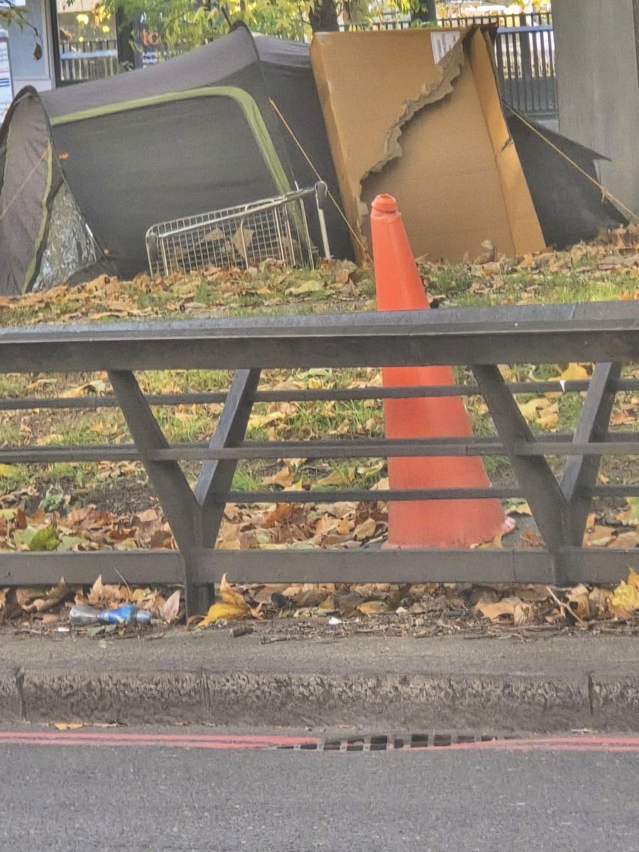 Timothy Barnes tweet media