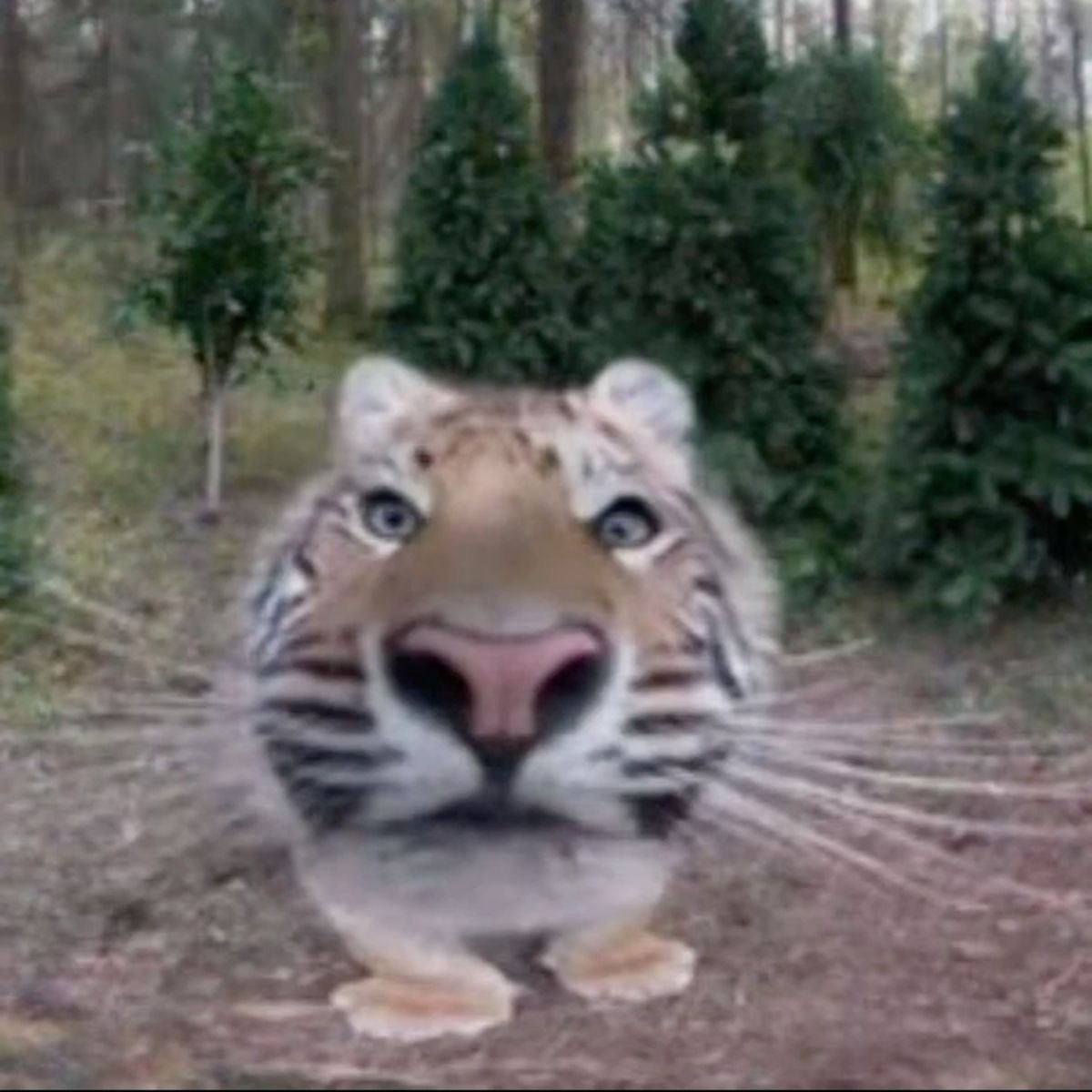 FelixThePotato's tweet photo. @CupperTheSecond U-Uhh… what’s the butterfly app…. https://t.co/GR1uNZzGaV
