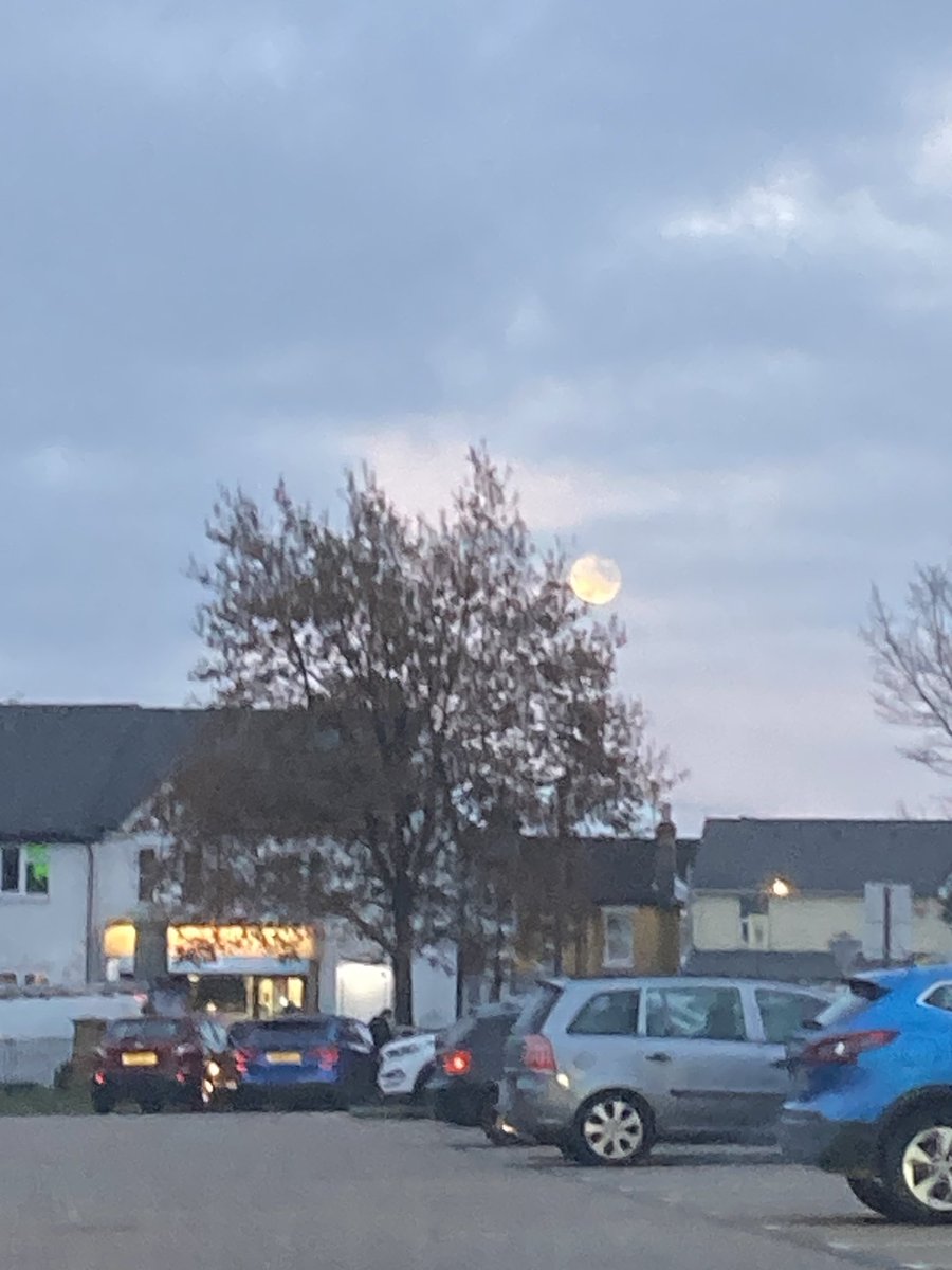 Beaver moon!
