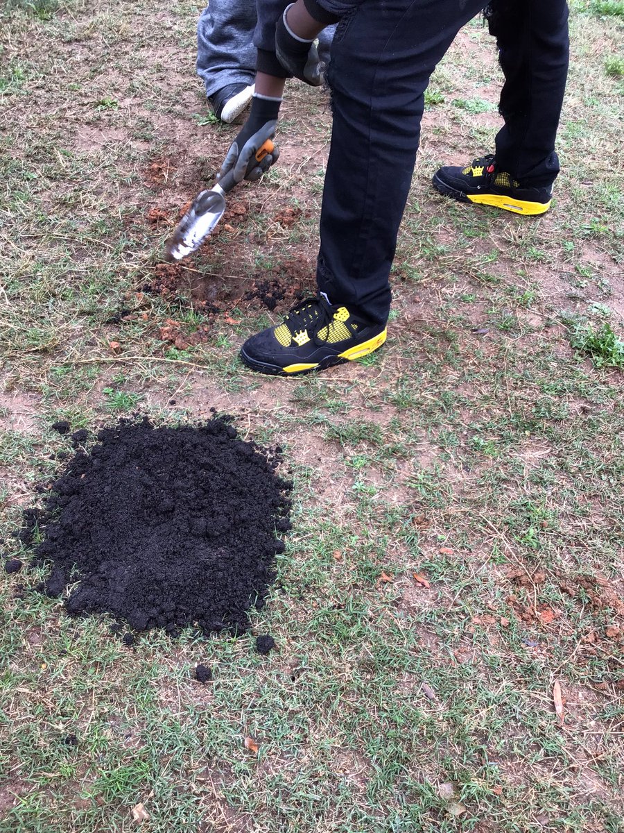 Mary E. Phillips HS tweet media