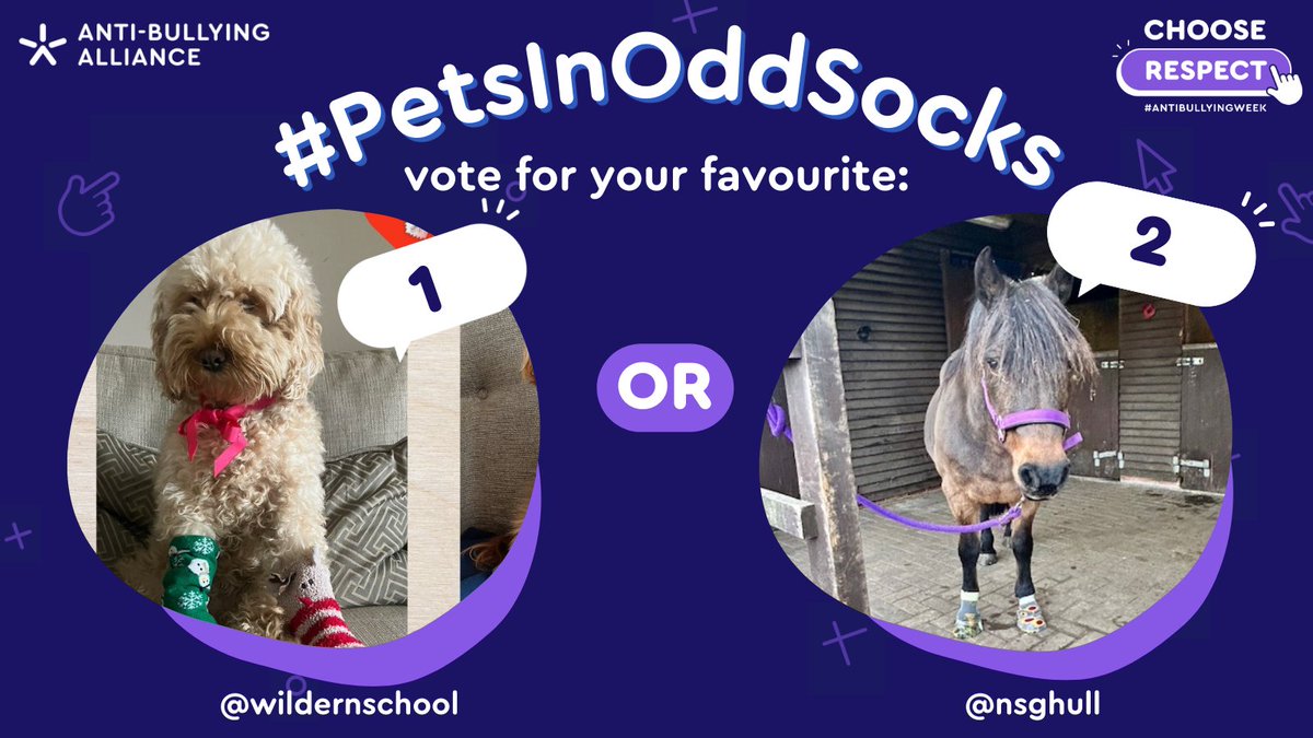 ABAonline's tweet photo. It's time for the grand final of #PetsInOddSocks before we log off for the weekend! 

Here are our 4 adorable winners so far this #AntiBullyingWeek... who will be crowned next Monday?! It's up to you! All our animal friends are winners in our eyes 😍🧦✨ 

Vote below ⬇️ https://t.co/jilJB4nGqD