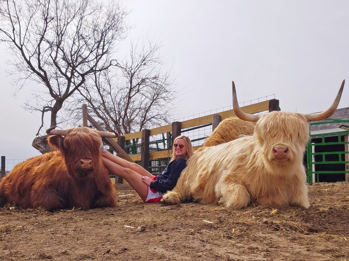 abbybrend's tweet photo. I second this @HiMyNameIsSeton  and @dpshow - come to central Iowa! Visit Ames (Go Cyclones) stop at Whatcha Smokin BBQ in Luther and come to the farm to feed some pretty cows. Message me for more great ideas! https://t.co/E0UPYKHyeK