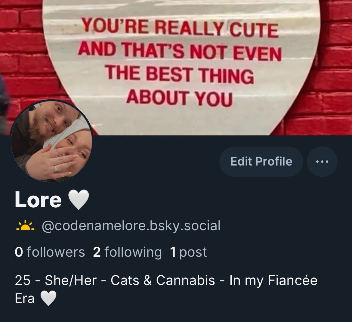 CodeNameLore's tweet image. Aight, I did the thing