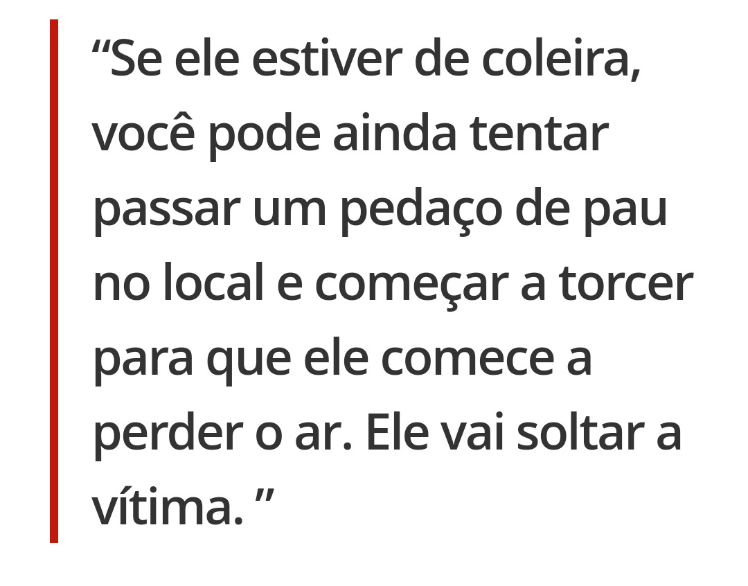hxdinigmz's tweet photo. acho que temos que divulgar mais oq fazer em um ataque de Pitbull pq muitas vezes as pessoas não sabem oq fazer e podem acabar piorando a situação 

eu sei que o certo seria os donos terem consciência, mas infelizmente não temos controle sobre os outros https://t.co/JUhrEnP2s0