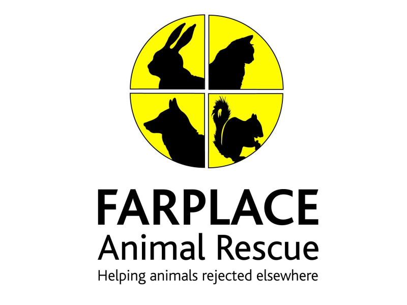 Moonfacedbaboon's tweet photo. ANIMAL CHARITY who are at at WARFARE game show in Farnborough this weekend. They're selling some of my games but also selling some their own too which are great! If you get a chance please support this fantastic  charity. #warfare2024 #boardgames https://t.co/aseZ2CwtyG