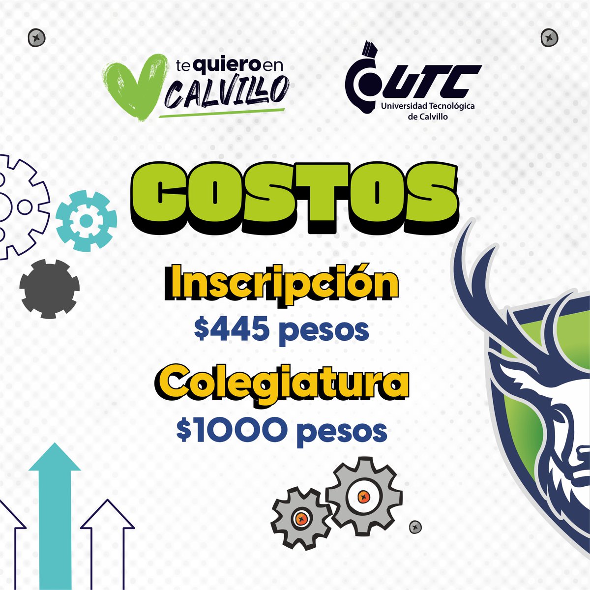 UT Calvillo tweet media