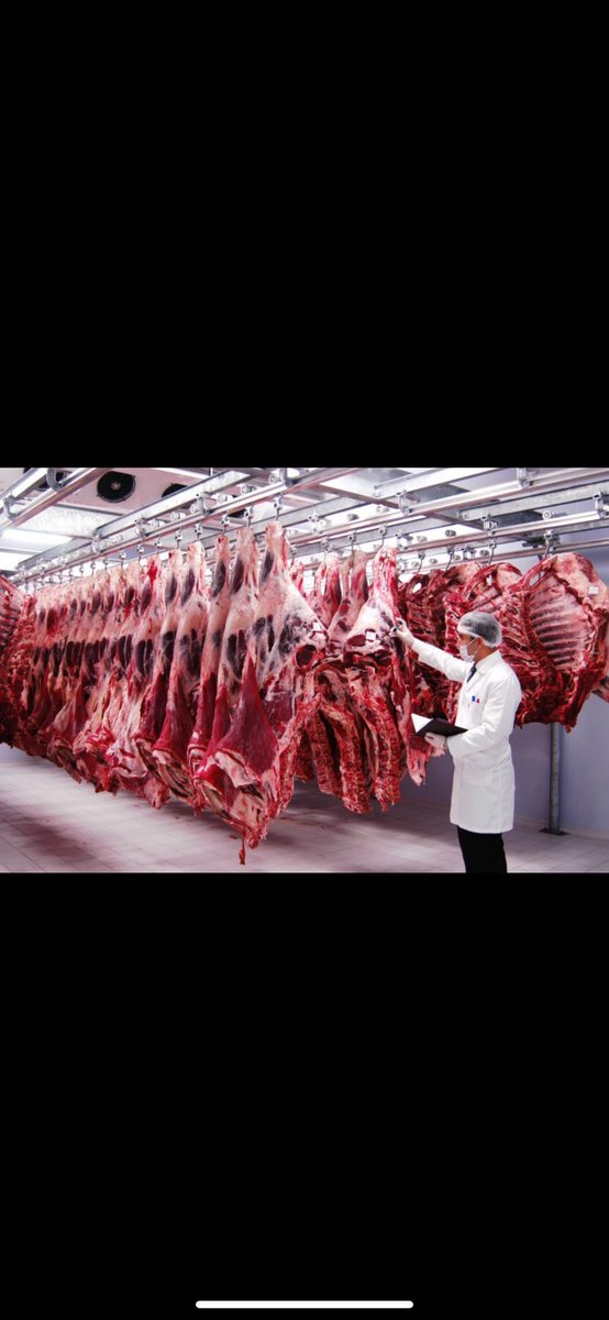 #TarımOrmana25binAtama
#VeterinerHekimlerAtamaBekliyor 
#VeterinerHekimler5000AtamaBekliyor