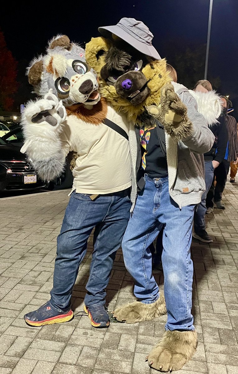 At the Wicked Chicken meetup last night. Unfortunately no group shot materialized. <a href="/ArcherEmberpelt/">Archer</a> is in his new red panda. Also <a href="/YipCoyote/">16024573</a>, <a href="/crazyjoe1952/">MountainBlueFoxJoe</a> and <a href="/KapernicusShep/">k</a> pictured. Who’s the bunny? Badge says “Lea”. #FursuitFriday