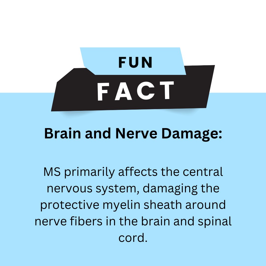 NARCOMS1993's tweet image. This week’s Fun Fact Friday is about how the Central Nervous System is impacted by MS.
To learn more about MS visit:
nationalmssociety.org/understanding-…
cando-ms.org/resources
mymsaa.org/ms-information…
narcoms.org/narcoms-now-ar…
#narcoms #multiplesclerosis #multiplesclerosisresearch #MSfacts