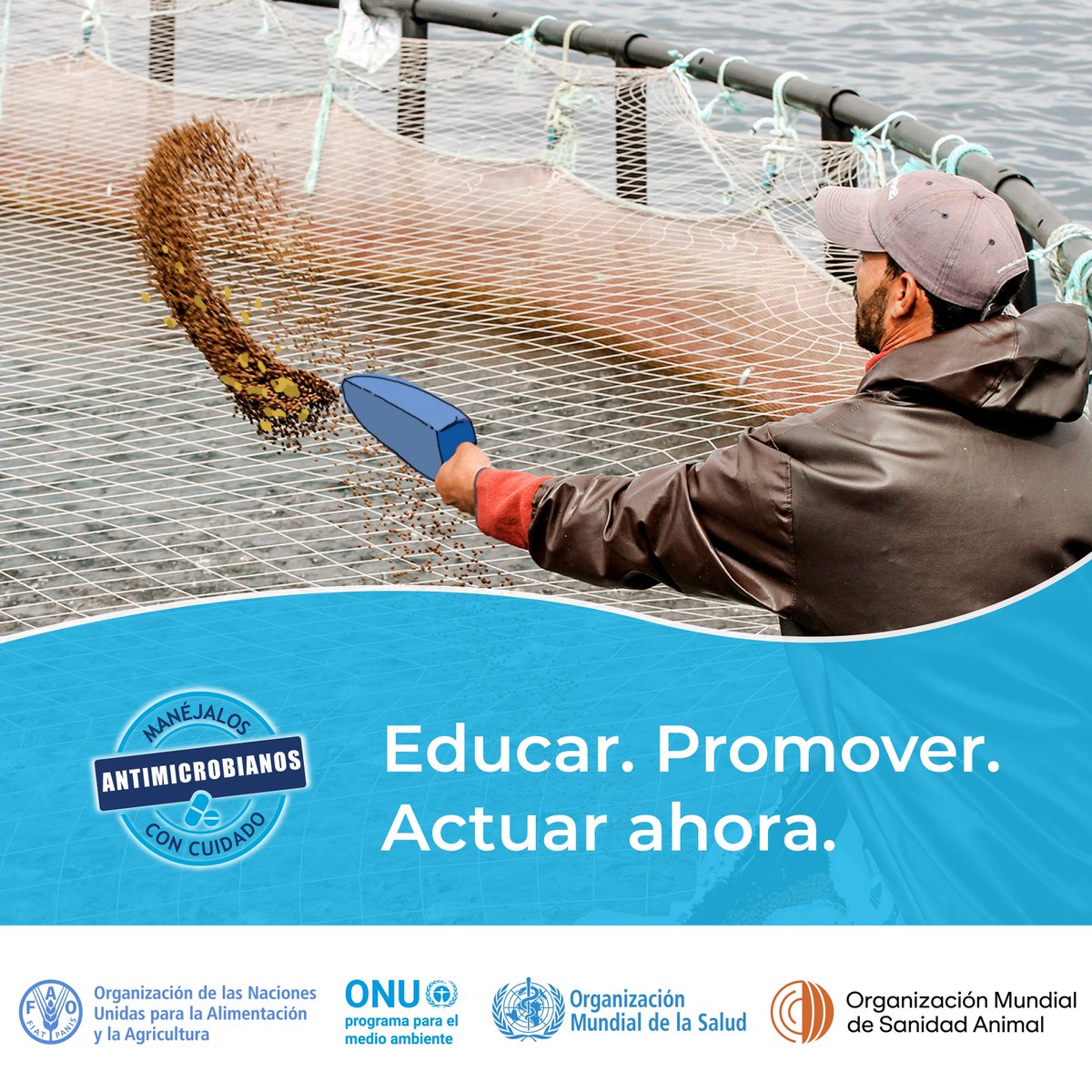 Menos de un día para que comience la Semana Mundial de Concienciación sobre la Resistencia Antimicrobiana💊💉

Los antimicrobianos ayudan a los animales y a las personas a vivir más tiempo y a tener una vida más sana, pero ¿durante cuánto tiempo más?

Súmate a las celebraciones