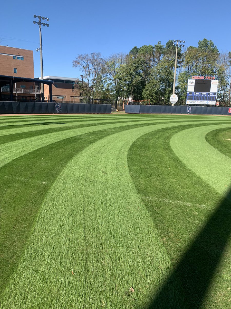 Columbus State Softball tweet media