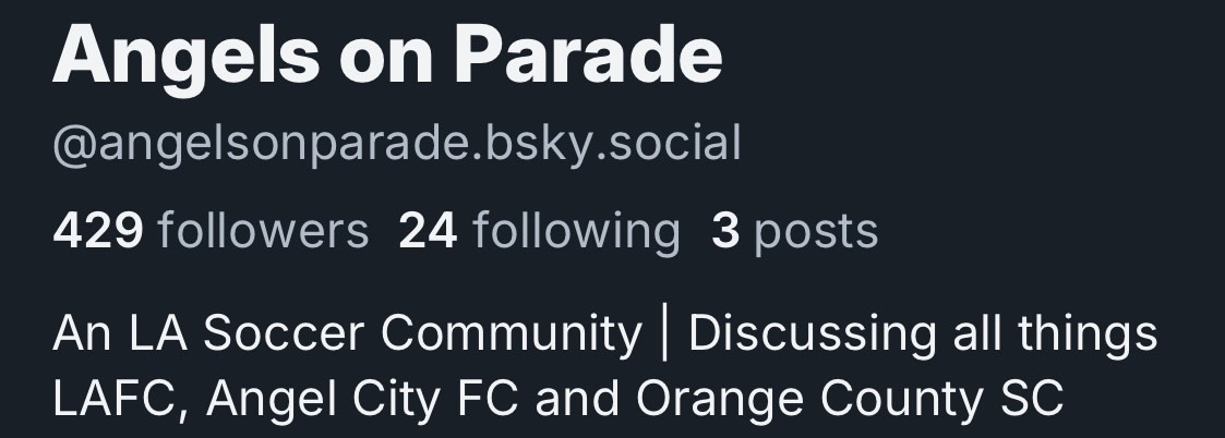 @angelsonparade.bsky.social tweet media