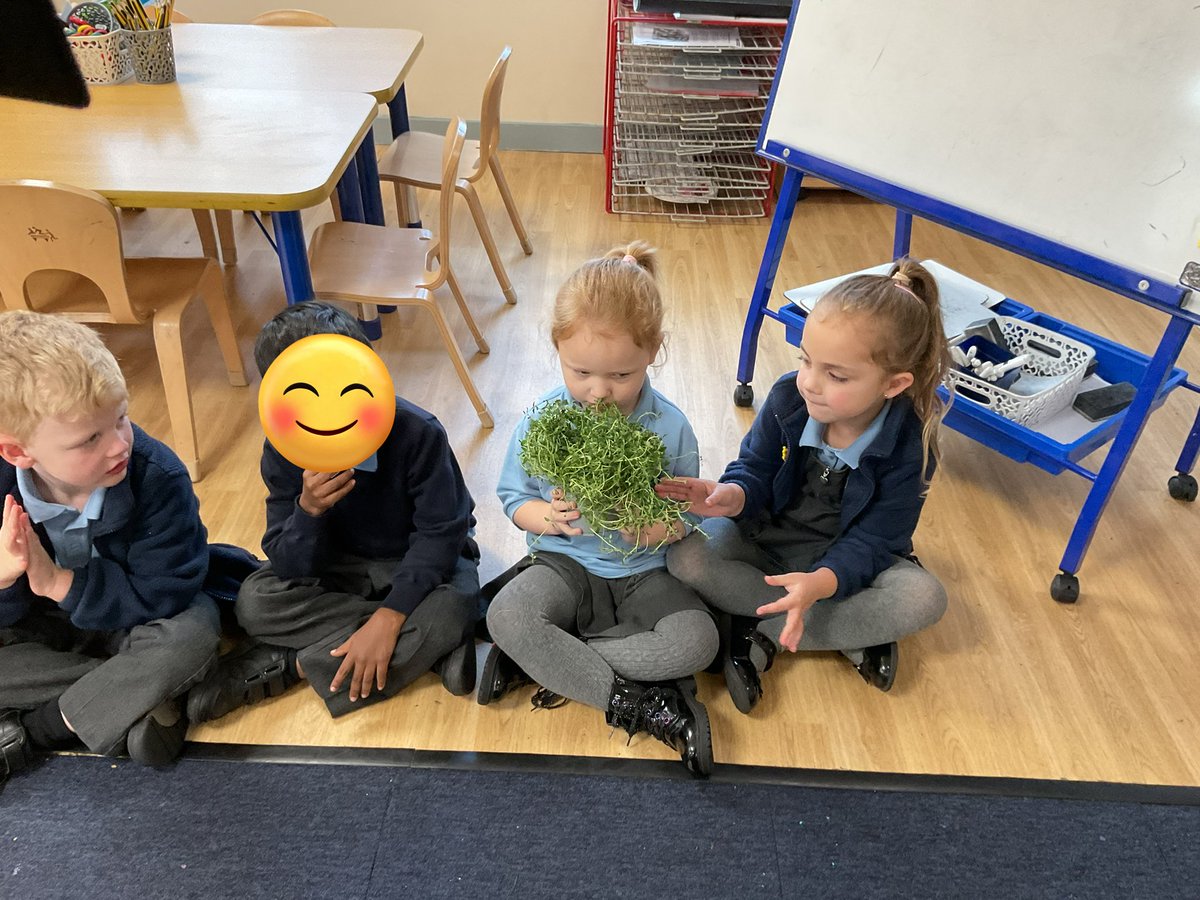 Reception have been exploring a variety of herbs using their senses. 👀👃👅👋