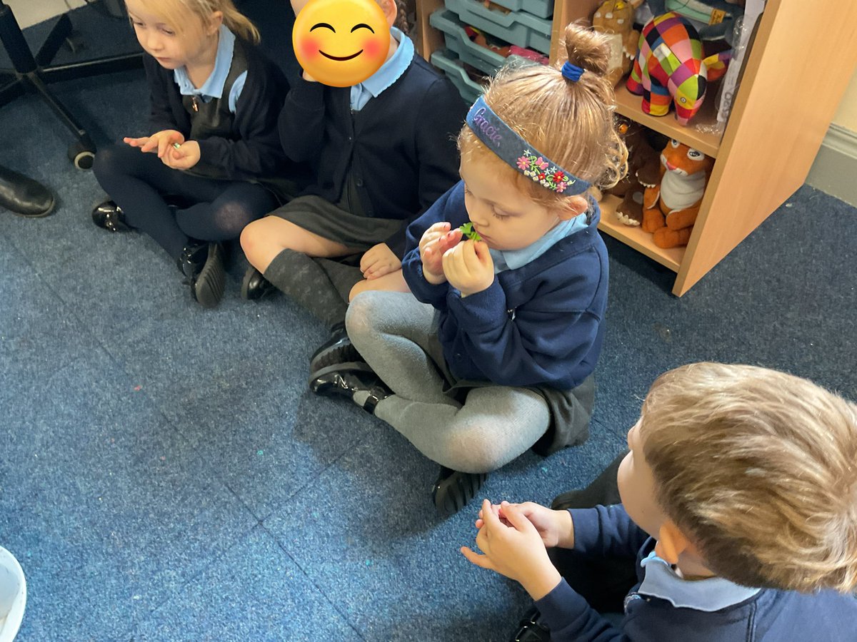 HungerfordAcad's tweet photo. Reception have been exploring a variety of herbs using their senses. 👀👃👅👋 https://t.co/s4Jq80Pij2