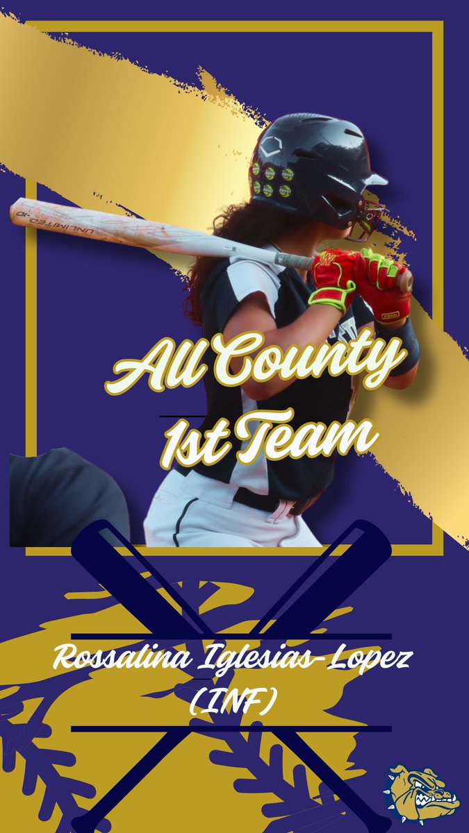 Decatur High School Softball tweet media