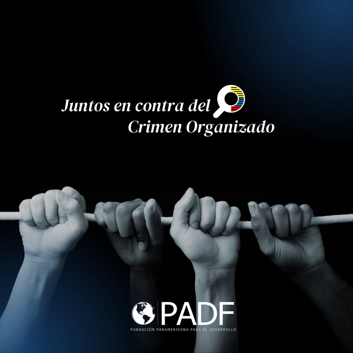 🌍 Hoy, en el Día Internacional contra la Delincuencia Organizada Transnacional, desde @OECOPADF trabajamos para entender y contrarrestar este flagelo global.

📊 Únete a nuestros análisis y consulta nuestros estudios en: oeco.padf.org 
🤝 ¡Sé parte del cambio!

#DOT