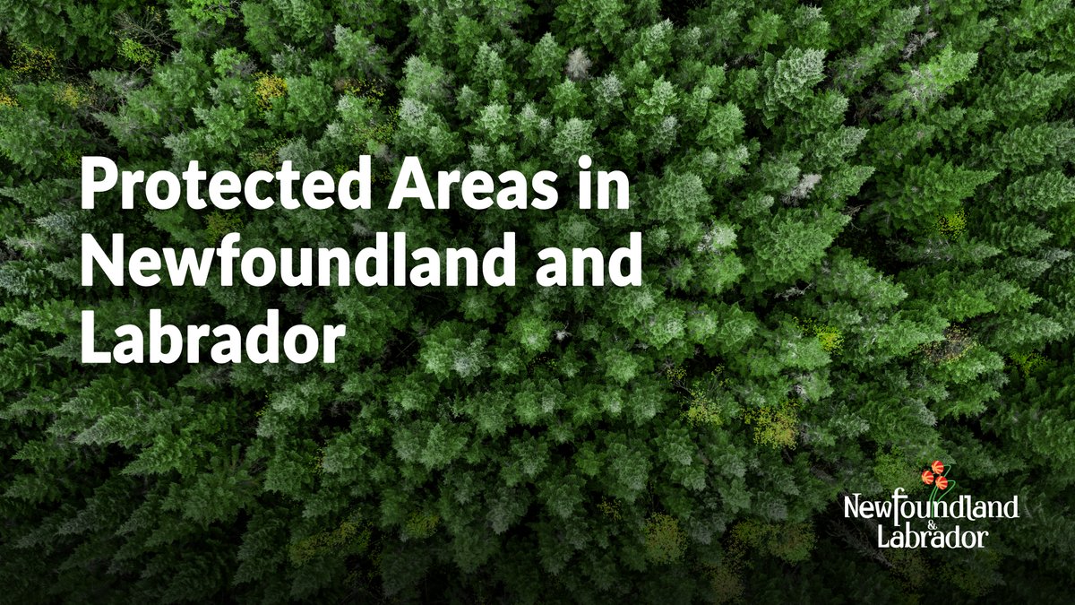 Want to have your say on proposed ecological reserves in NL? Go to EngageNL.com to comment on Ripple Pond and Halls Gullies. Take the online survey or join the open-house sessions in Whitbourne (Nov 24) and Colinet (Nov 25). engagenl.ca/en/home-nature… 
#WERAC <a href="/EngageNL/">EngageNL</a>