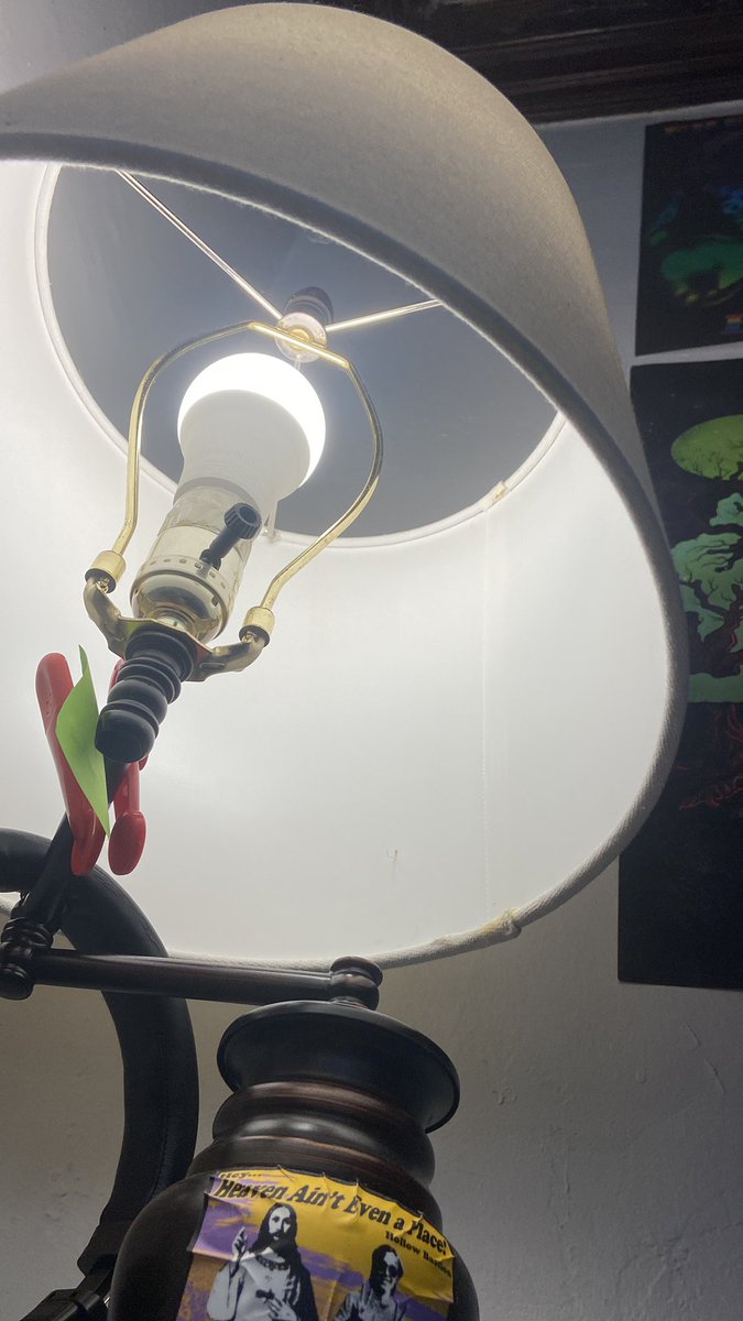 🇵🇸| STREAM BOY tweet media