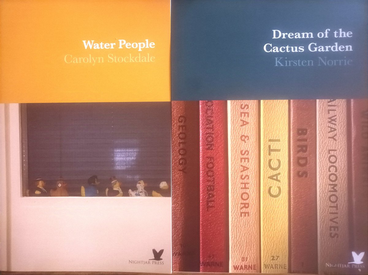 Yay! These stories have arrived. Thanks <a href="/nightjarpress/">Nightjar Press</a>✨✨#shortstories #reading