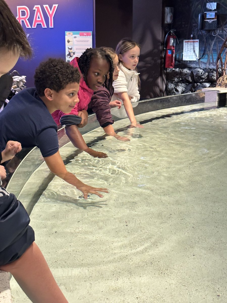 Erin O'Loughlin tweet media