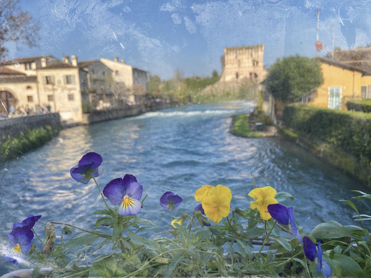 🚶🏻‍♂️Riccardo tweet media