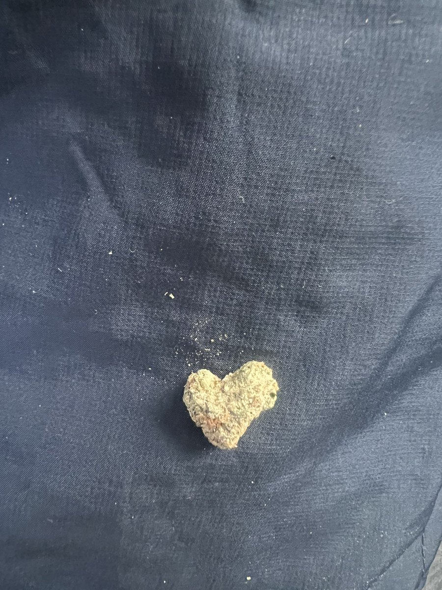 10pmindetroit's tweet photo. i love weed, weed loves me. https://t.co/132dS4oEZm