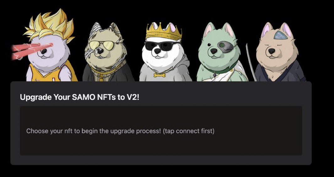 CryptoSpoony's tweet photo. 7/9 🎨 Creativity plays a huge role. From memes to the NFT collection that sold out in minutes, $SAMO has shown that community engagement can go beyond price speculation. It's about creating a vibrant culture. Got a Samoyed NFT? Show it off with #SamoNFT! https://t.co/Ld9F1phWV5