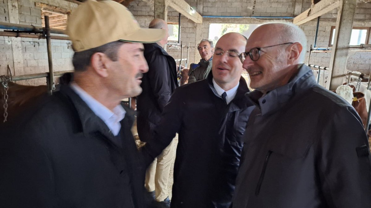 Olivier_Guerot's tweet image. Rencontre avdc des éleveurs à #Peja, #Klina et #Istog et leurs 🐄🐄🇫🇷. Ce sont des #Montbéliardes, connues pour la quantité&amp;amp;qualité de lait 🥛🧀, leur longévité, robustesse et adaptation. Le programme de subvention des vaches laitières au profit des éleveurs🇽🇰 est apprécié.