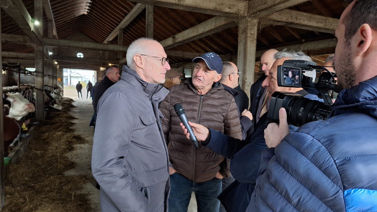 Olivier_Guerot's tweet image. Rencontre avdc des éleveurs à #Peja, #Klina et #Istog et leurs 🐄🐄🇫🇷. Ce sont des #Montbéliardes, connues pour la quantité&amp;amp;qualité de lait 🥛🧀, leur longévité, robustesse et adaptation. Le programme de subvention des vaches laitières au profit des éleveurs🇽🇰 est apprécié.