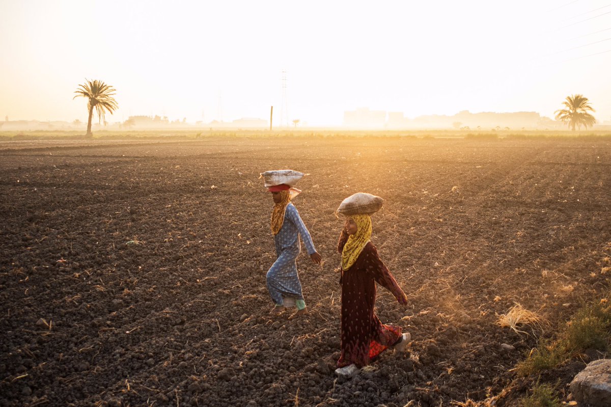 El Fayoum, Egypt 2024
©Sahl Abdelrahman