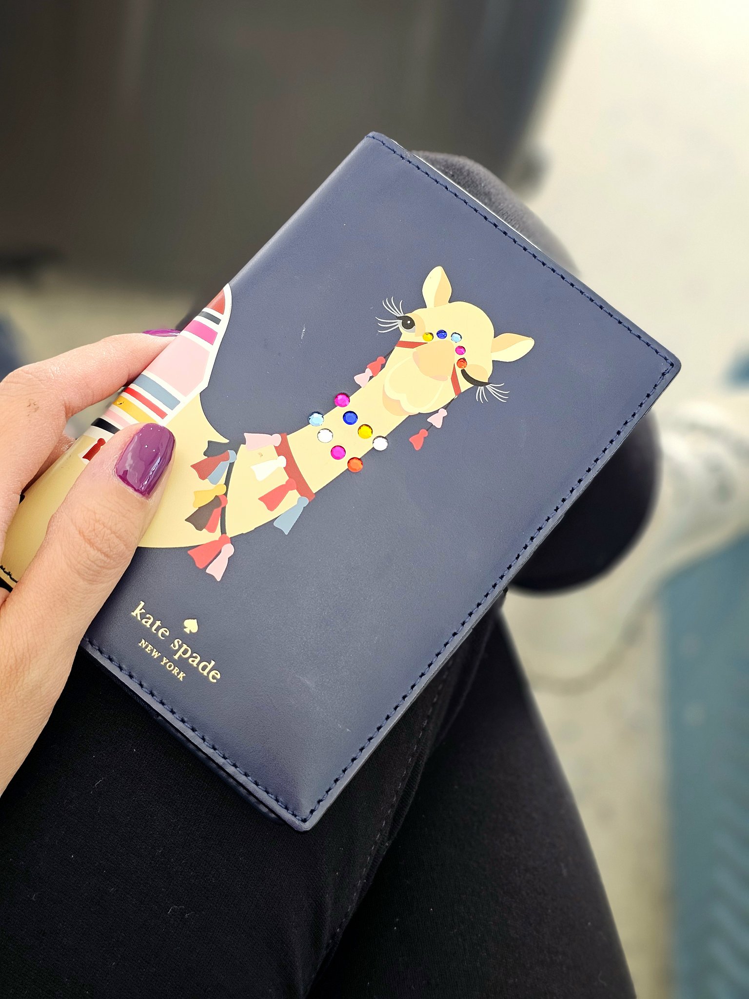 Spice Things Up cadmum Camel Passport