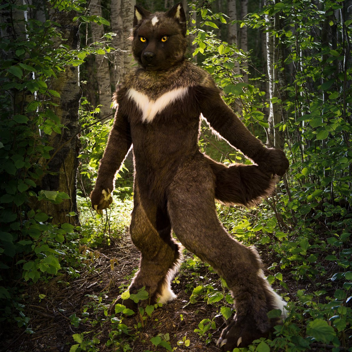 For #FursuitFriday you head back into the woods and find him...

What do you do next?