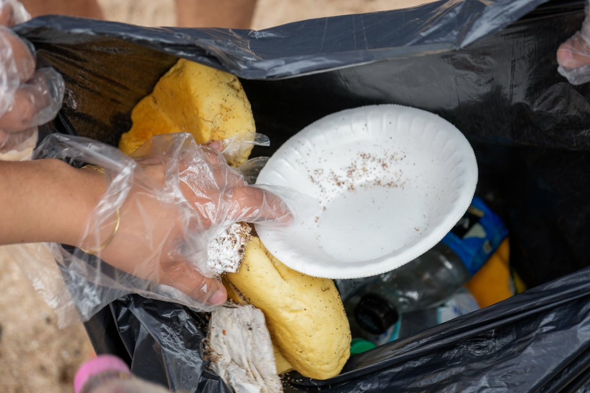 newssurfcity's tweet photo. #Nacionales | @MedioAmbienteSV con apoyo de voluntarios de @MAPFRE_SV realizaron una jornada de limpieza el Área Natural Protegida Complejo Los Cóbanos. 🗑️♻️

Al finalizar la jornada, se realizó liberación de tortugas golfinas. 🐢🌊 https://t.co/6DN7xBRxKx