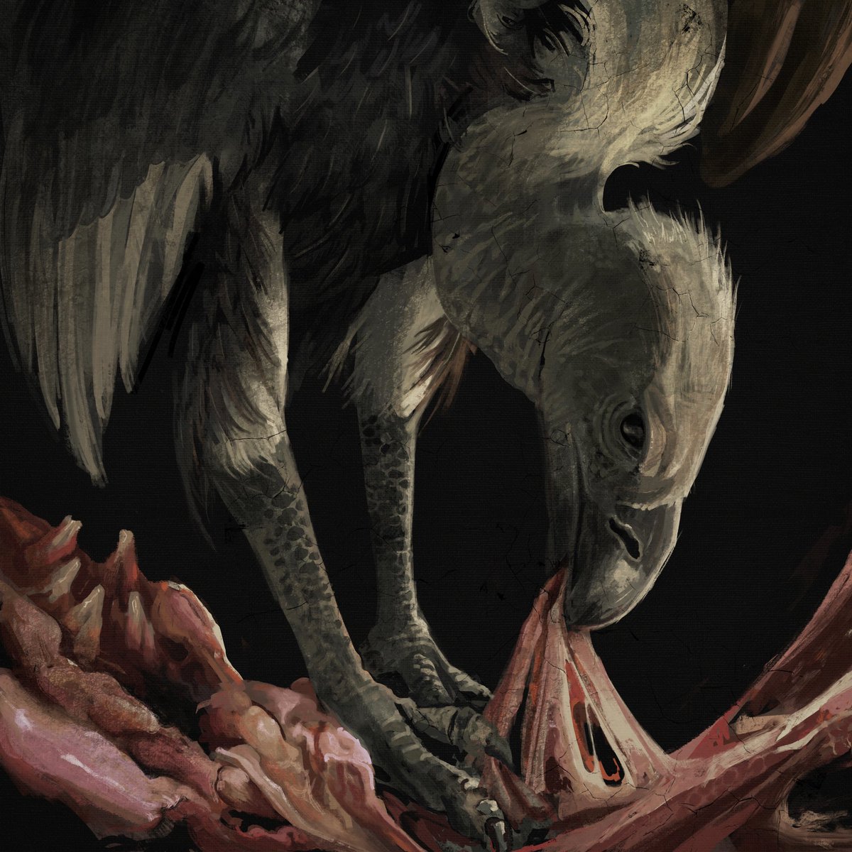 Kiana Hamm tweet media