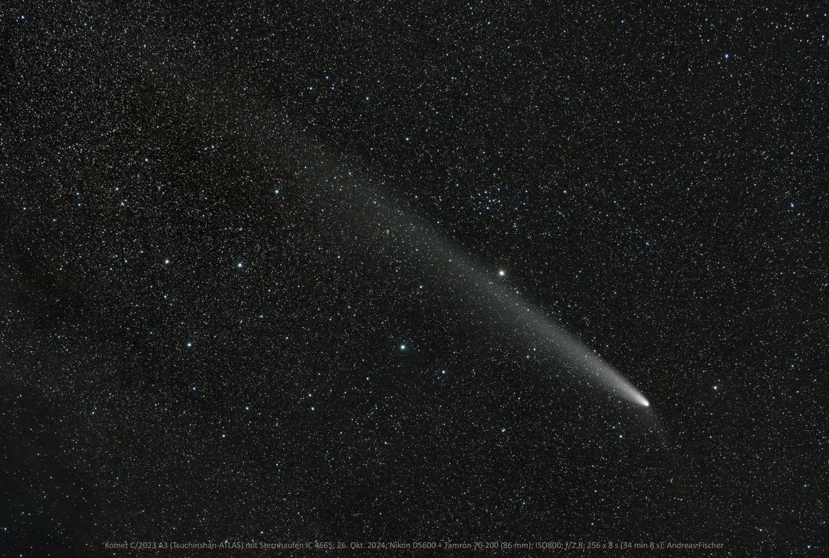 Andreas Fischer tweet media