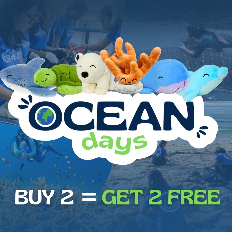 ClubOcean_'s tweet photo. 🌊  𝑶𝑪𝑬𝑨𝑵 𝑫𝑨𝒀𝑺  🌊
Let's protect the oceans together! 

𝗕𝘂𝘆 𝟮 = 𝗚𝗲𝘁 𝟮 𝗙𝗿𝗲𝗲

Every purchase funds marine life protection.
Treat yourself, support the cause.🌎💫