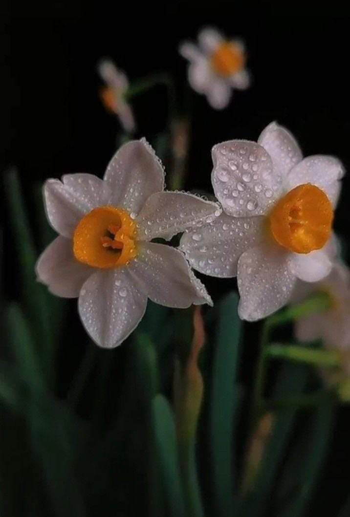 𝙔𝙤𝙪𝙧 𝙢𝙤𝙧𝙖𝙡𝙨 𝙖𝙧𝙚 𝙮𝙤𝙪𝙧 𝙗𝙚𝙖𝙪𝙩𝙮 
💯