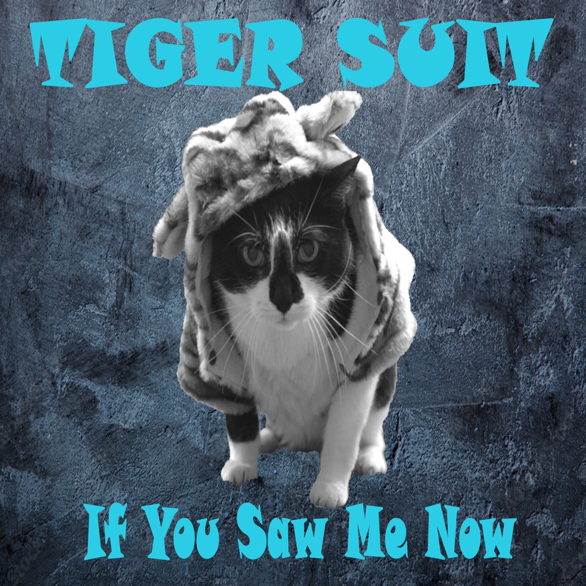 Our new EP "If You Saw Me Now" is now available! You can check it out here: open.spotify.com/album/1qs2nwyR…