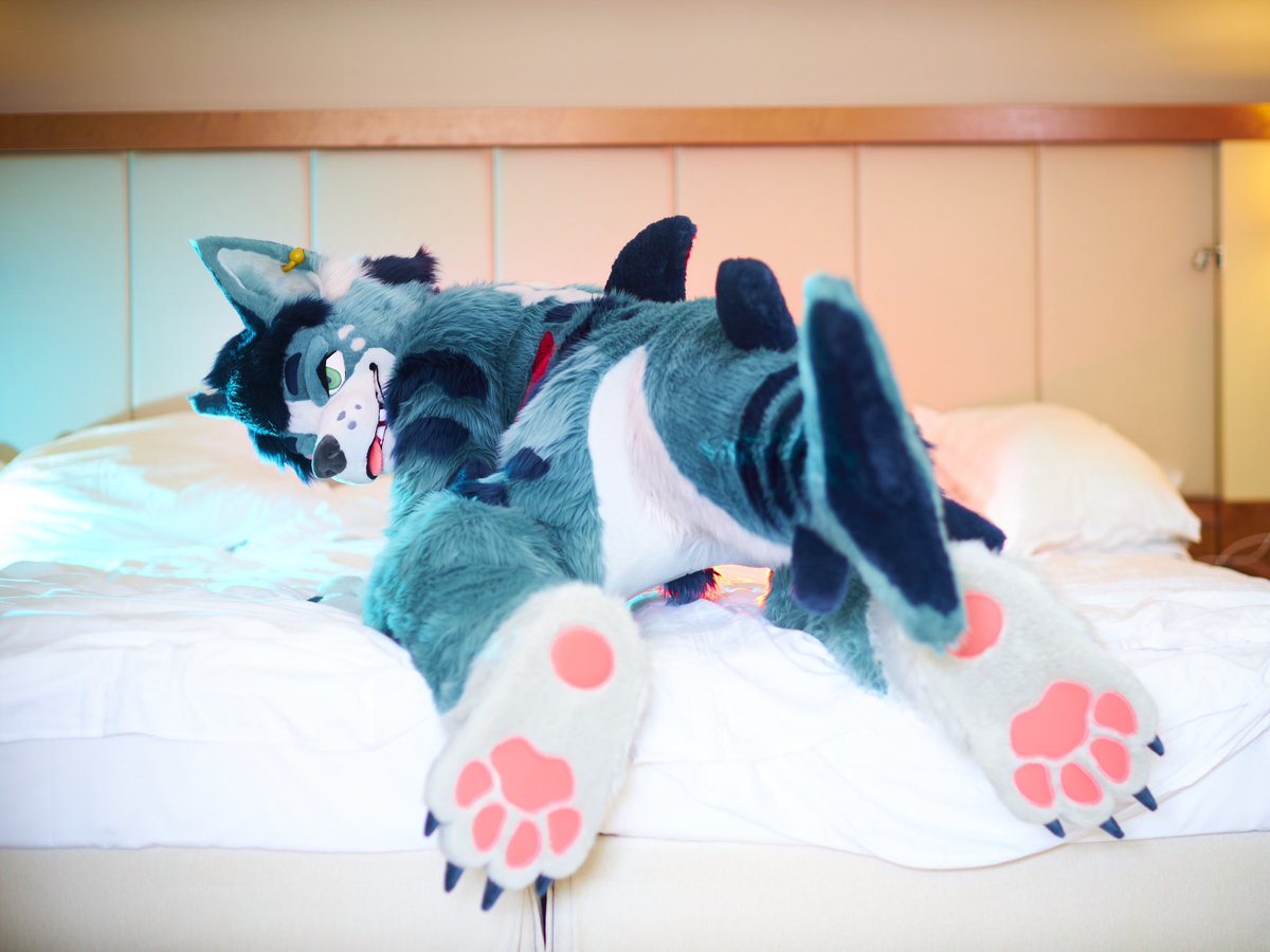 Fizzark (@karufizzy) on Twitter photo You caught a weird fish pup 🎣
What now? 👀
📷 <a href="/RafaGreenfur/">rafagreenfur.bsky.social</a>
#FursuitFriday You caught a weird fish pup 🎣
What now? 👀
📷 <a href="/RafaGreenfur/">rafagreenfur.bsky.social</a>
#FursuitFriday