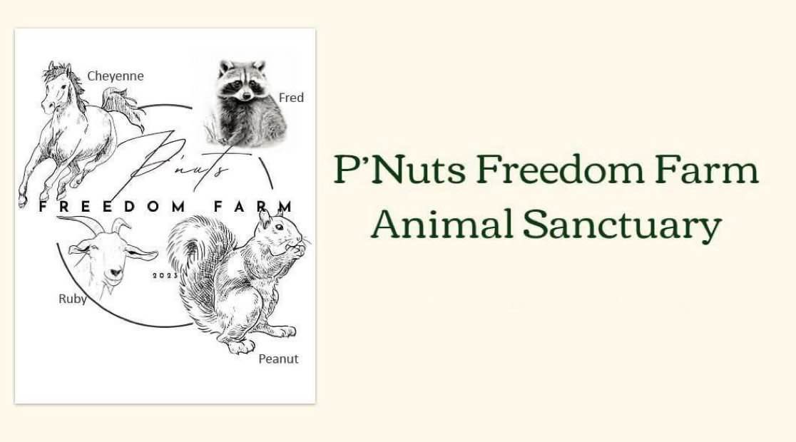 <a href="/shanicebest/"></a> The goat shall be committed fam 🐐

$RUBY, literally the only goat out of the holy quartet of PNUT FREEDOM FARM

mDshrPRV32j79trDVEQjdRsfZ1zdzjwh6eQK9e9pump

 $PNUT, $FRED, $CHEYENNE 🐐❤️🐿️🦝🐎