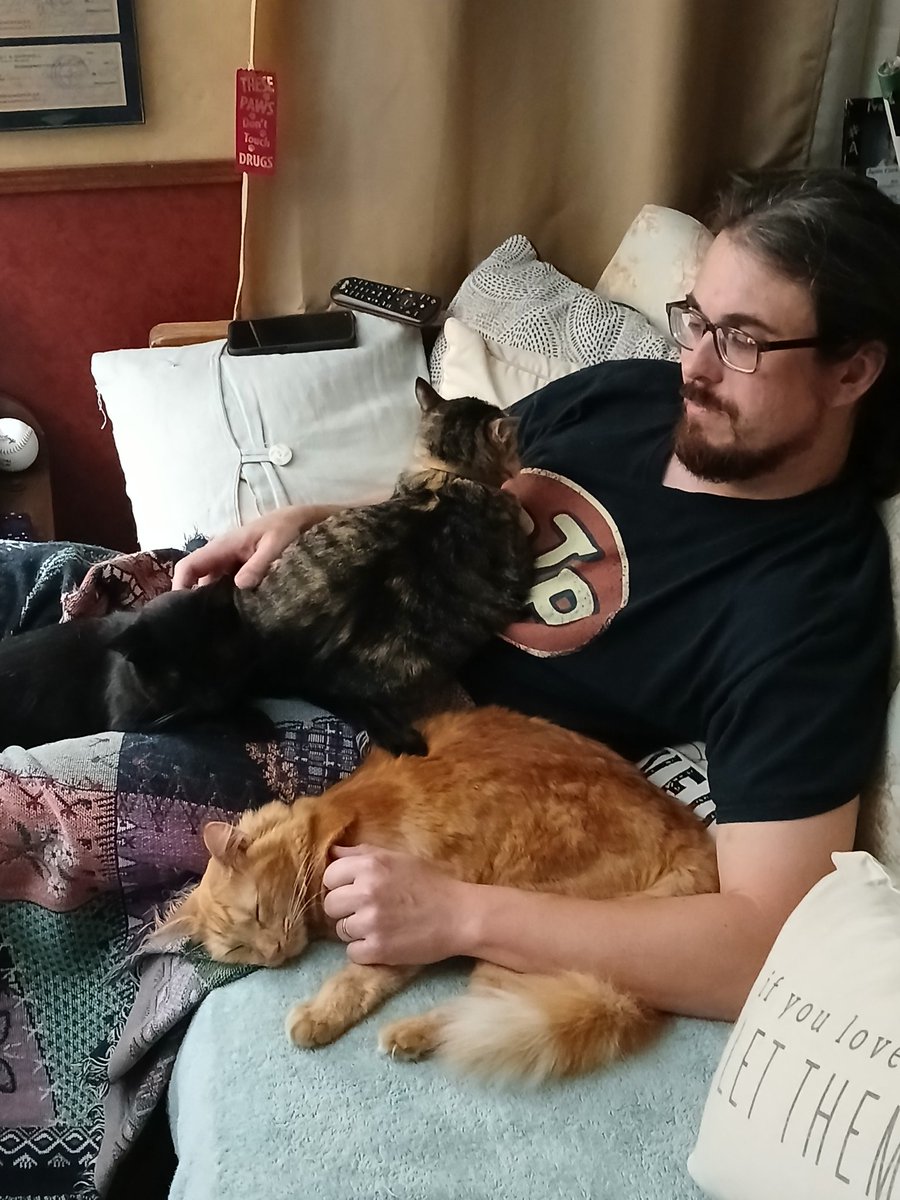 AmberLHarney's tweet photo. Ian is a crazy cat man, but it makes me love him much more. He has the biggest heart! Here is Mulder (black cat) Gracie (tabby cat) and Carlos (orange cat and has the personality to go with it) Mulder likes to say "hello" it's the funnest thing ever. Gracie is a first class bitch and proud of it! 🤣