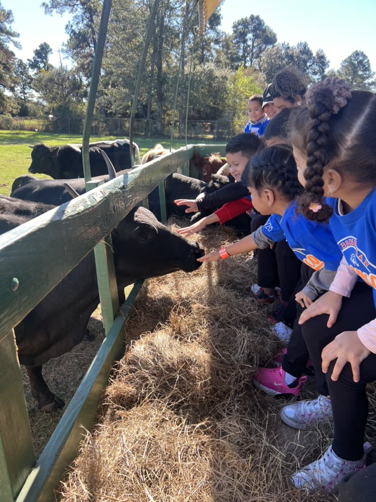 MrsCastillo4's tweet photo. Such a beautiful day ☀️to spend it at the @Oil_Ranch with @BrosnahanES PreK Class https://t.co/loBhnTMf7u
