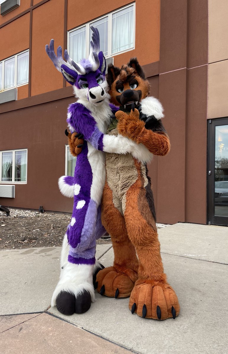 BouToon's tweet image. i met a popufur! and he was very polite