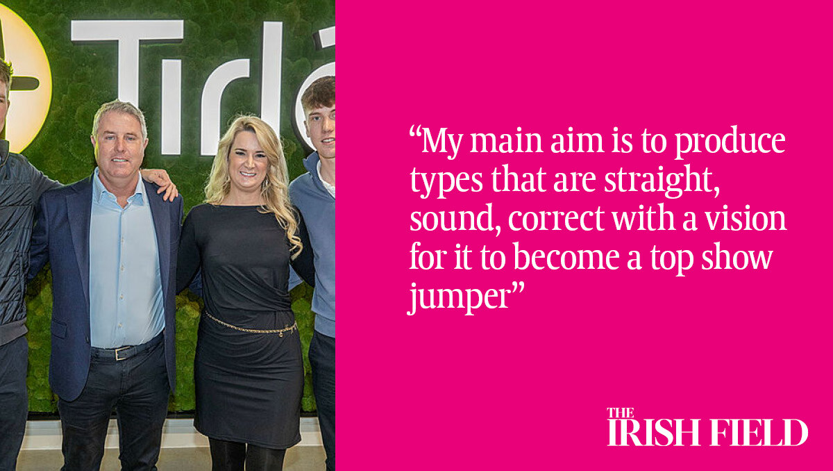 TheIrishFieldHW tweet media