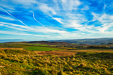 Steve Jackson 💙 tweet media