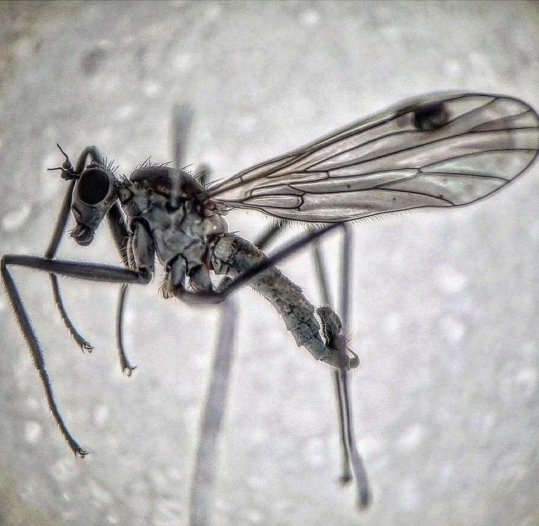 Ryan Mitchell tweet media