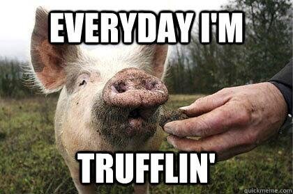 BimboNihilism's tweet photo. #hoglyfe https://t.co/QdFZDSd88y