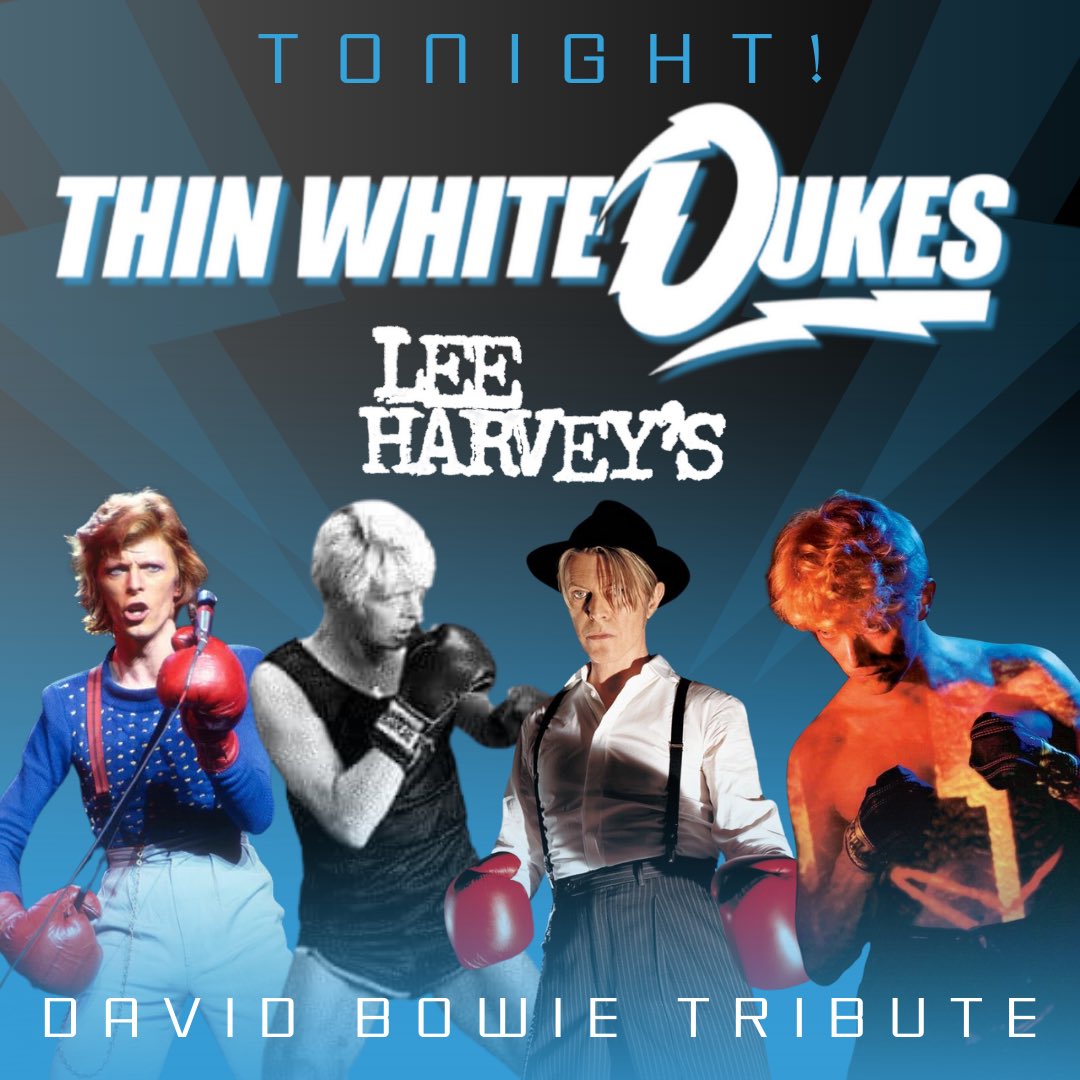 Thin White Dukes ⭐️ David Bowie Tribute tweet media
