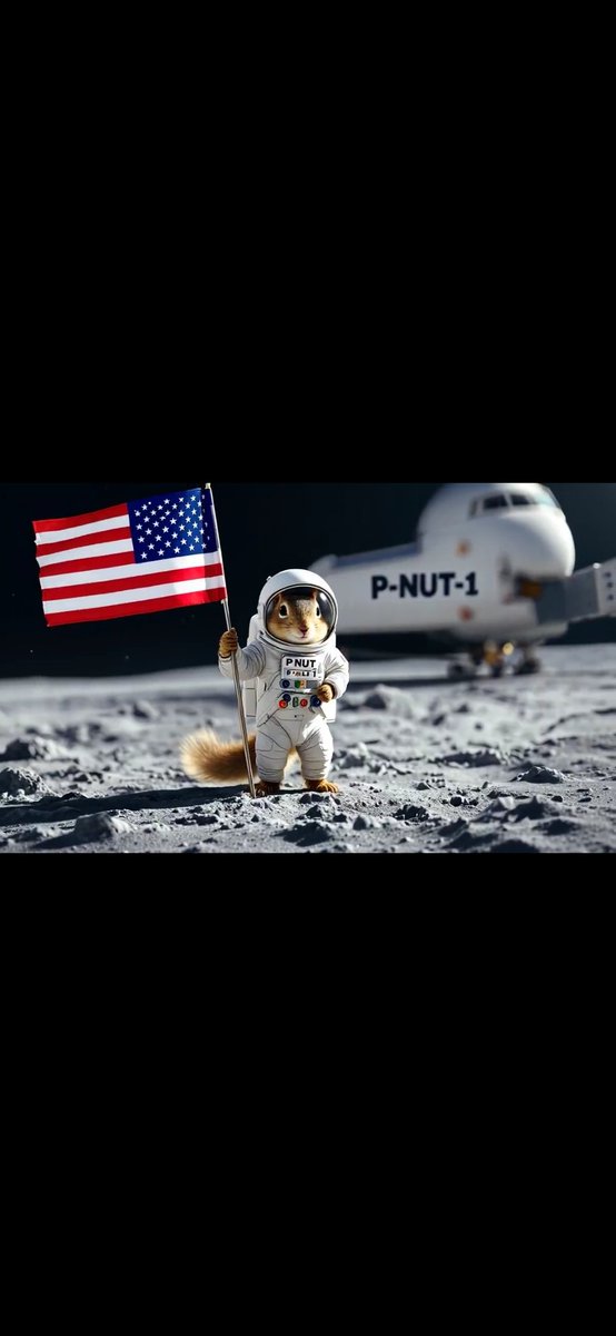 Lets be clear. $Pnut is going to 50b